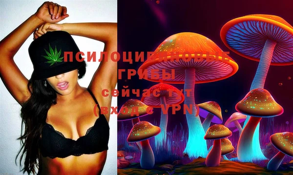 прущая мука Богородск