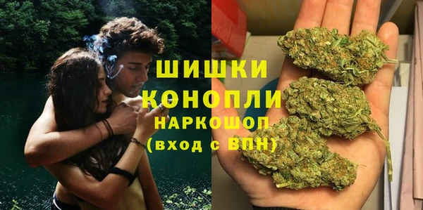 гидропоника Богородицк