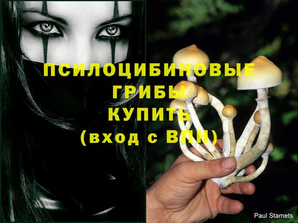 прущая мука Богородск