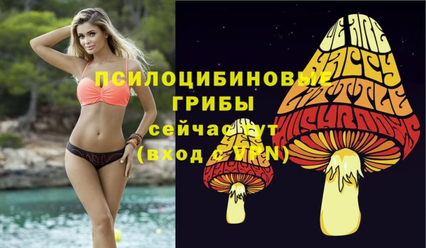 синтетический гашиш Белокуриха